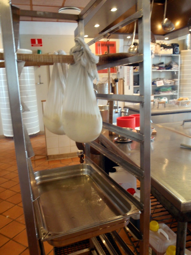 Hanging the curd